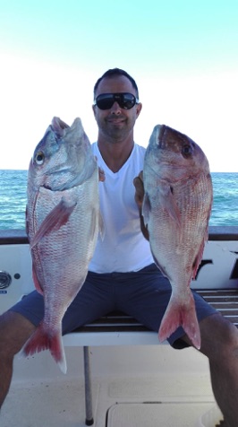 Algarve Red Snappers.jpg